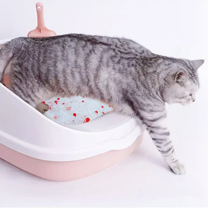 silica cat litter